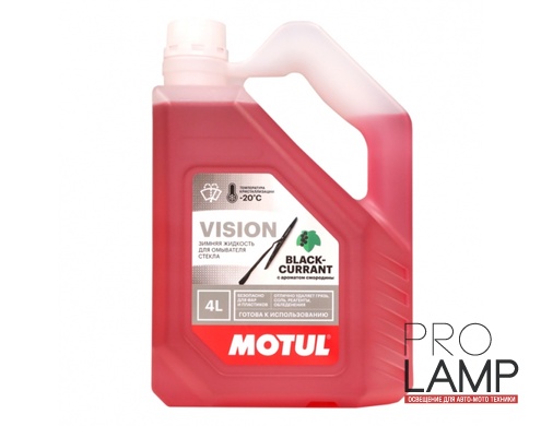 MOTUL Vision Black Currant -20°C - 4 л.